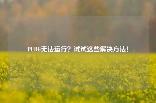 PUBG无法运行？试试这些解决方法！