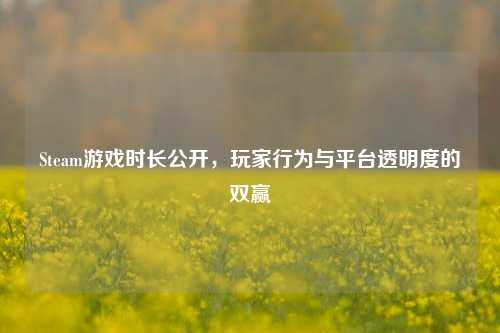 Steam游戏时长公开，玩家行为与平台透明度的双赢