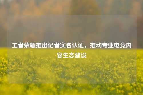 王者荣耀推出记者实名认证，推动专业电竞内容生态建设