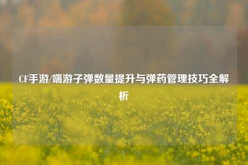 CF手游/端游子弹数量提升与弹药管理技巧全解析