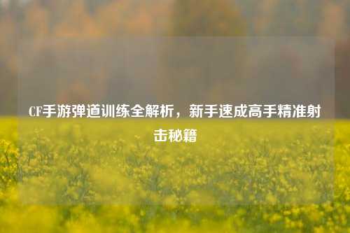 CF手游弹道训练全解析，新手速成高手精准射击秘籍
