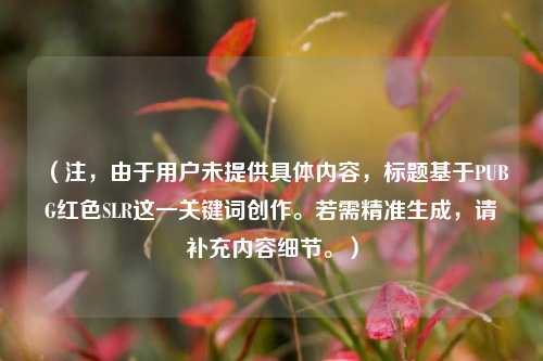 （注，由于用户未提供具体内容，标题基于PUBG红色SLR这一关键词创作。若需精准生成，请补充内容细节。）