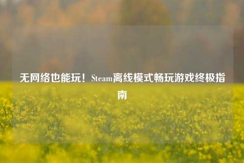 无网络也能玩！Steam离线模式畅玩游戏终极指南