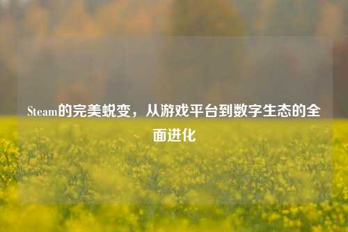 Steam的完美蜕变，从游戏平台到数字生态的全面进化