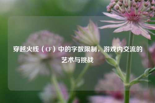 穿越火线（CF）中的字数限制，游戏内交流的艺术与挑战