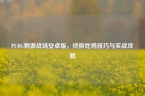 PUBG刺激战场安卓版，终极吃鸡技巧与实战攻略