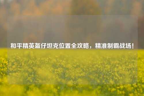 和平精英盔仔坦克位置全攻略，精准制霸战场！