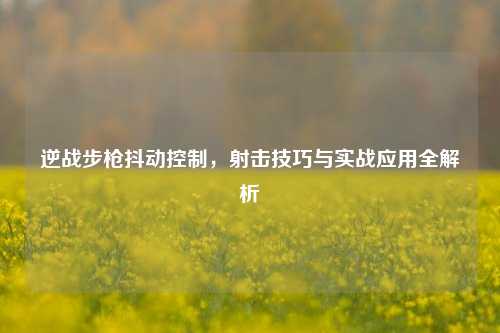 逆战步枪抖动控制，射击技巧与实战应用全解析