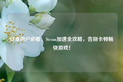 安卓用户必看，Steam加速全攻略，告别卡顿畅快游戏！
