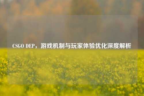 CSGO DEP，游戏机制与玩家体验优化深度解析
