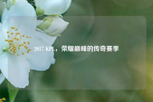 2017 KPL，荣耀巅峰的传奇赛季
