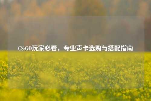 CS:GO玩家必看，专业声卡选购与搭配指南