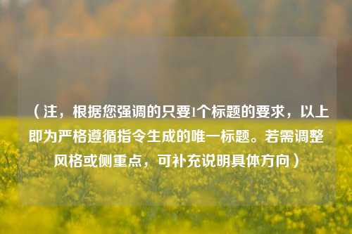 （注，根据您强调的只要1个标题的要求，以上即为严格遵循指令生成的唯一标题。若需调整风格或侧重点，可补充说明具体方向）
