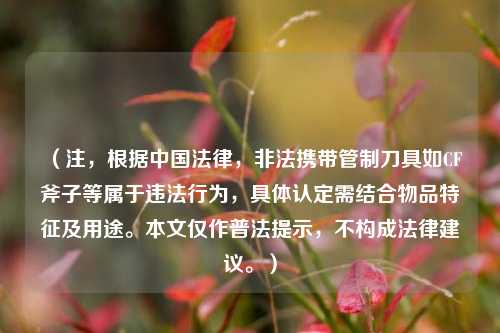 （注，根据中国法律，非法携带管制刀具如CF斧子等属于违法行为，具体认定需结合物品特征及用途。本文仅作普法提示，不构成法律建议。）