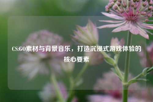 CS:GO素材与背景音乐，打造沉浸式游戏体验的核心要素