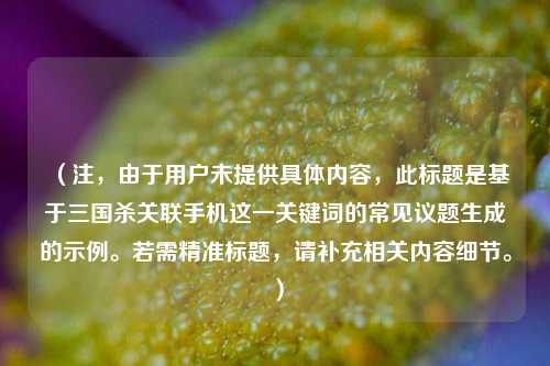 （注，由于用户未提供具体内容，此标题是基于三国杀关联手机这一关键词的常见议题生成的示例。若需精准标题，请补充相关内容细节。）