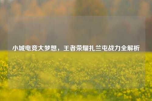 小城电竞大梦想，王者荣耀扎兰屯战力全解析