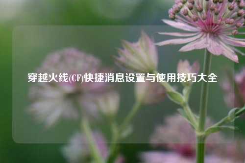 穿越火线(CF)快捷消息设置与使用技巧大全